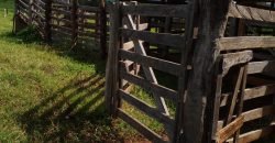 Fazenda com 54 hectares