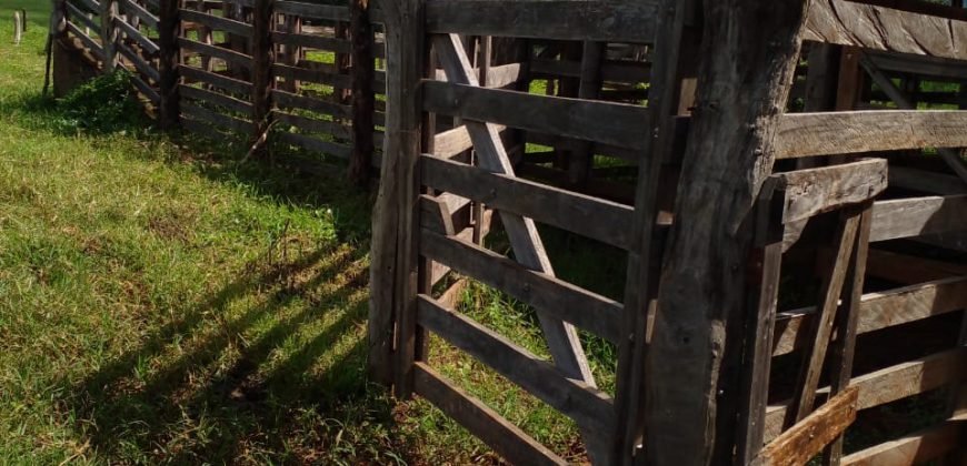 Fazenda com 54 hectares
