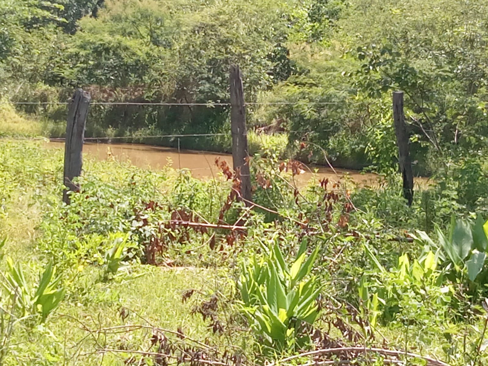 Fazenda com 52 Hectares
