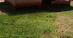 Fazenda com 54 hectares