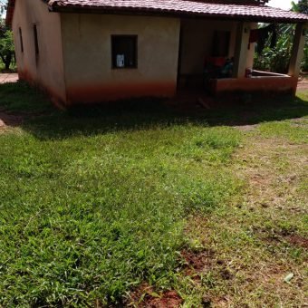 Fazenda com 54 hectares