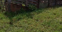 Fazenda com 54 hectares