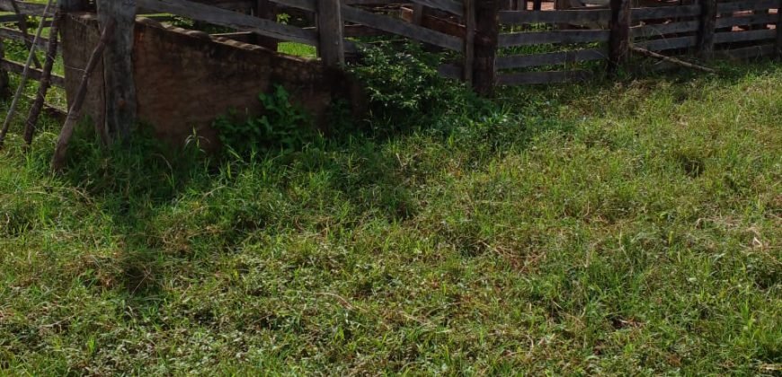 Fazenda com 54 hectares