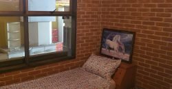 Ampla chácara em Água Azul – Guarulhos