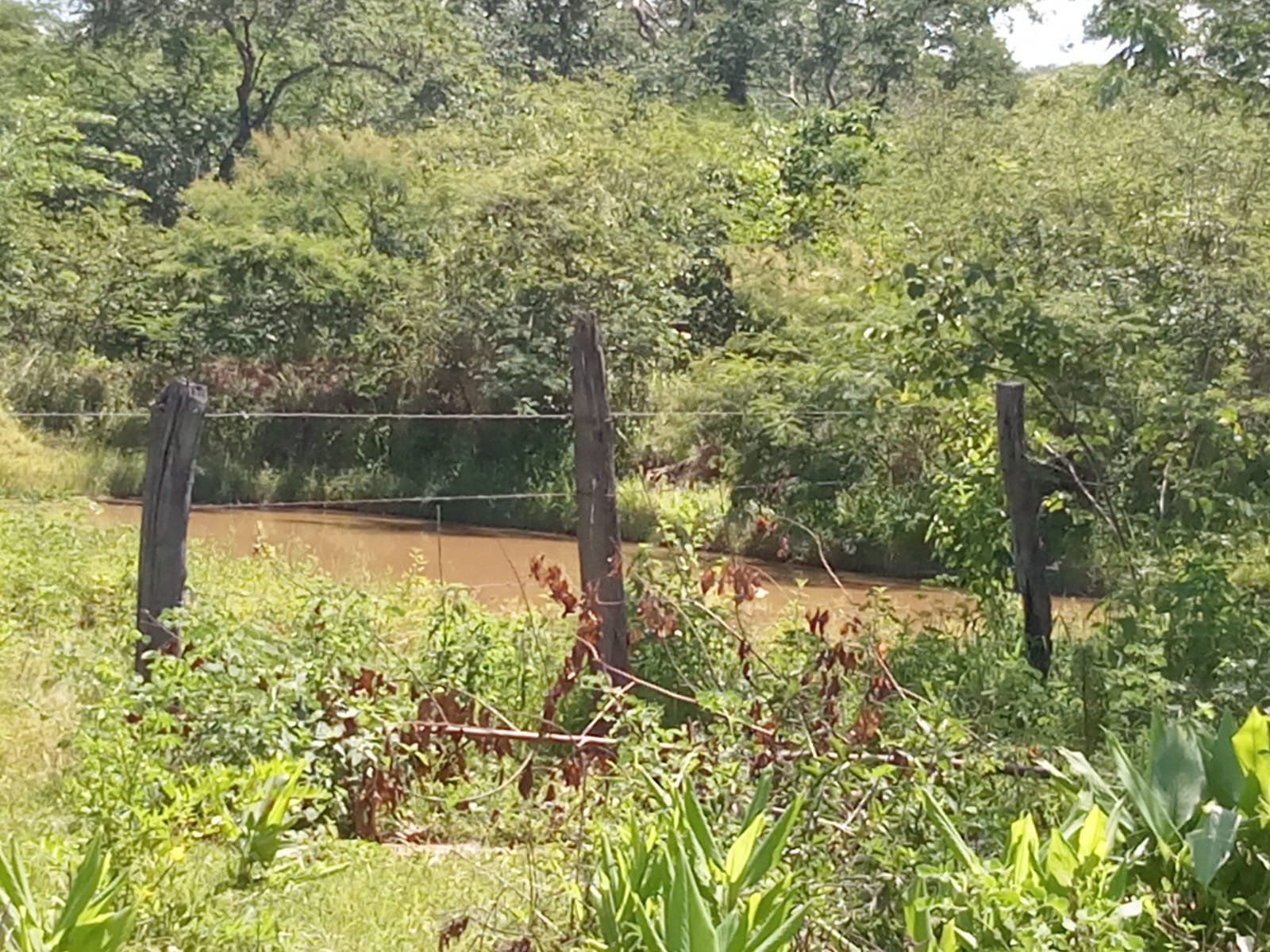 Fazenda com 52 Hectares