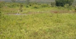 Fazenda com 54 hectares