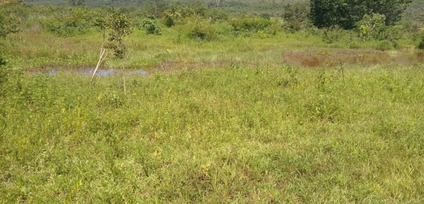 Fazenda com 54 hectares