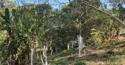 Ampla chácara em Água Azul – Guarulhos