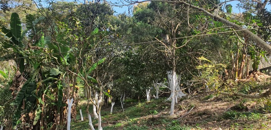 Ampla chácara em Água Azul – Guarulhos