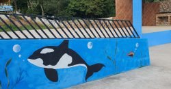 Ampla chácara em Água Azul – Guarulhos