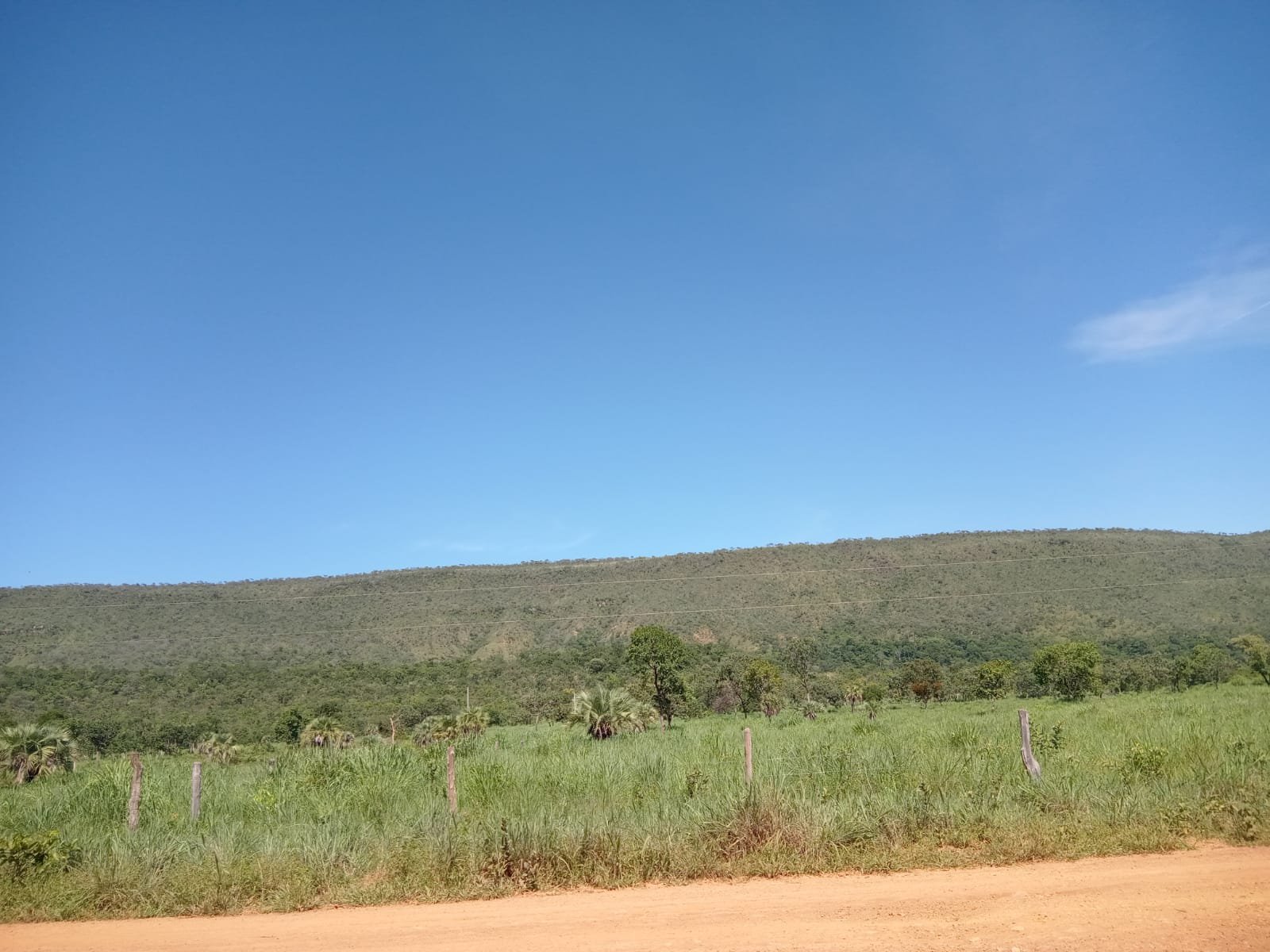 Fazenda com 52 Hectares