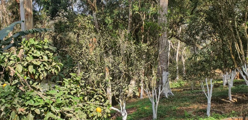 Ampla chácara em Água Azul – Guarulhos