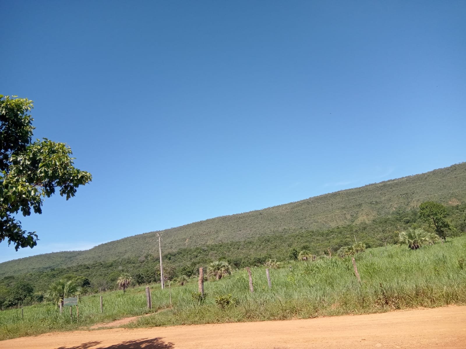 Fazenda com 52 Hectares