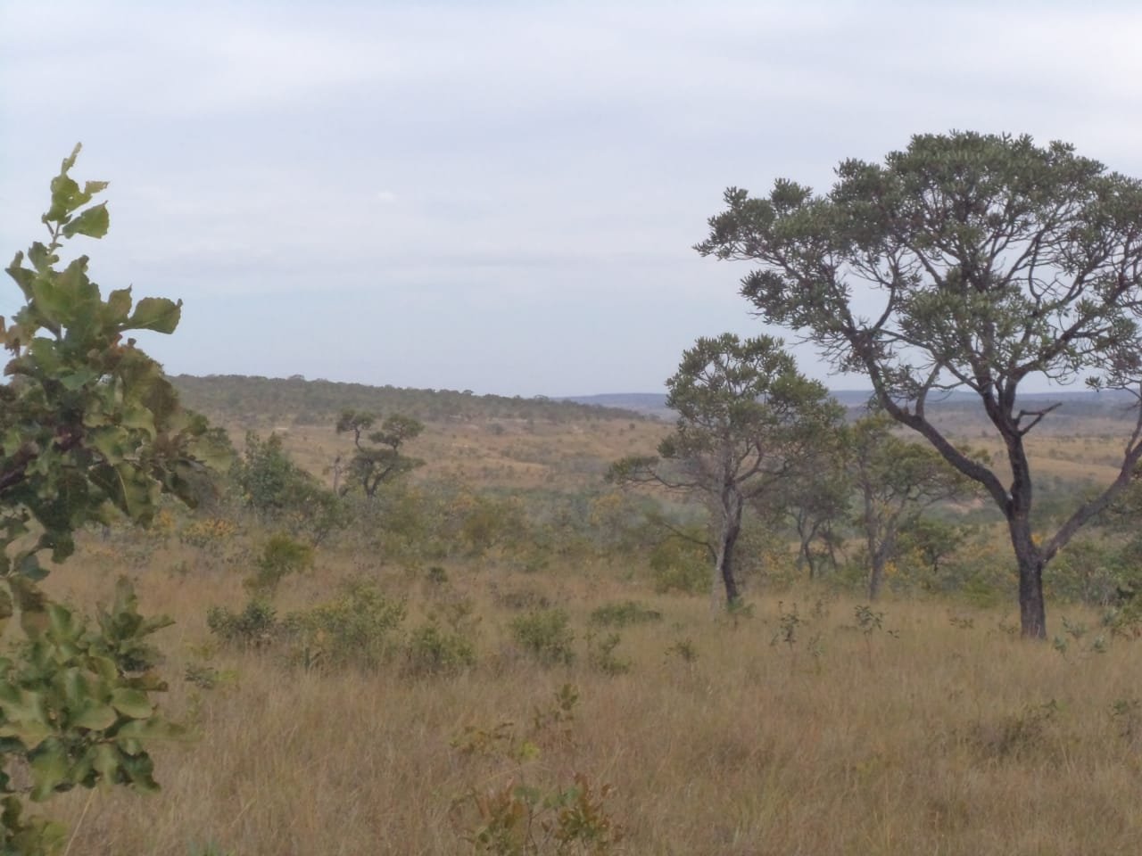 FAZENDA A VENDA . FAZENDA BOA ESPERANÇA