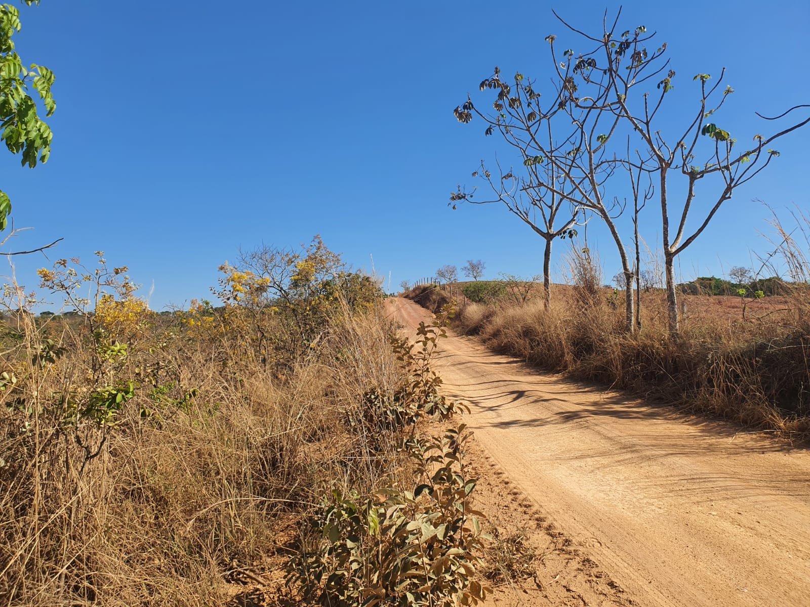 Fazenda a venda no Tamboril.