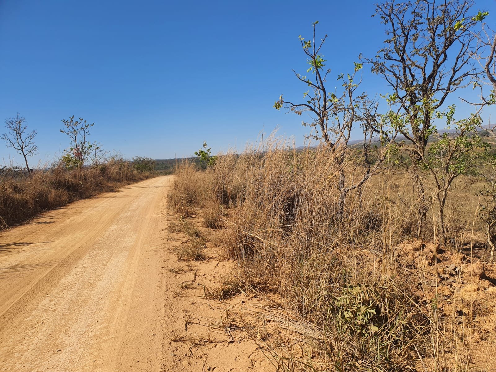 Fazenda a venda no Tamboril.