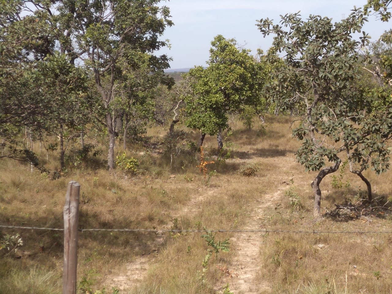 FAZENDA A VENDA . FAZENDA BOA ESPERANÇA