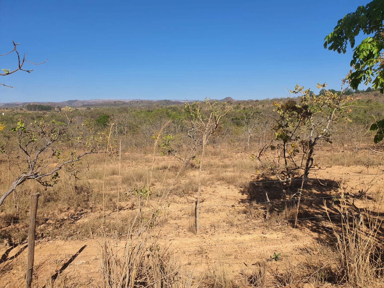 Fazenda a venda no Tamboril