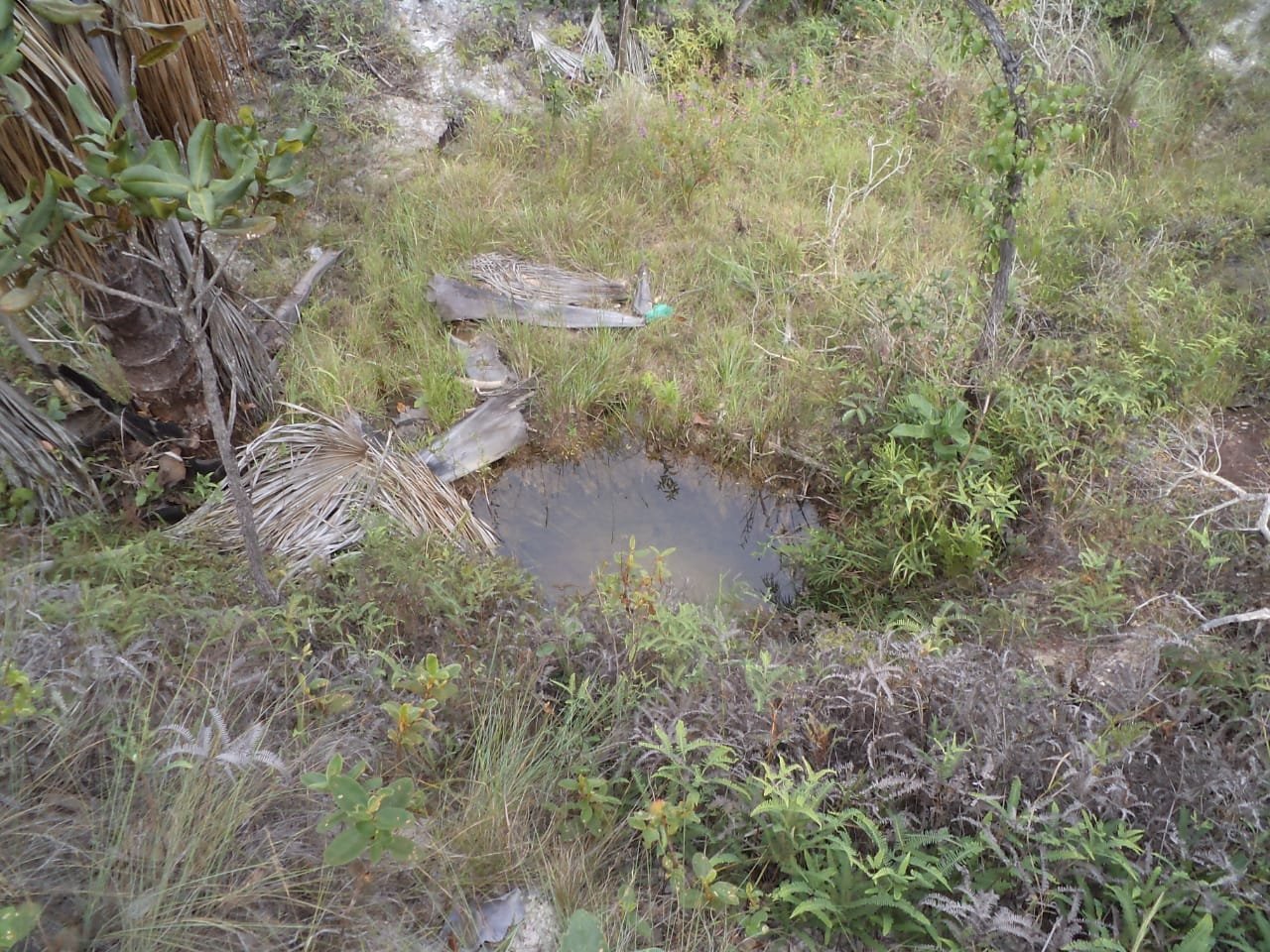 FAZENDA A VENDA . FAZENDA BOA ESPERANÇA