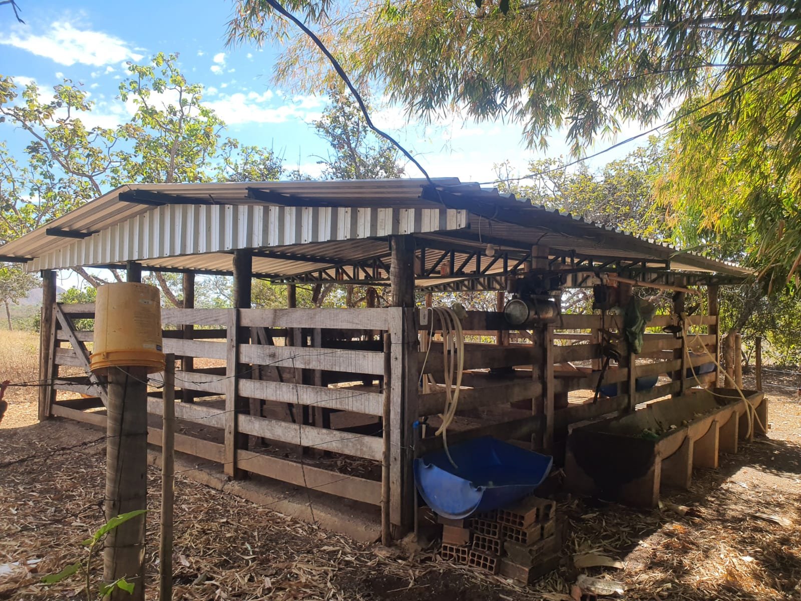 Fazenda saída para Paracatu a venda