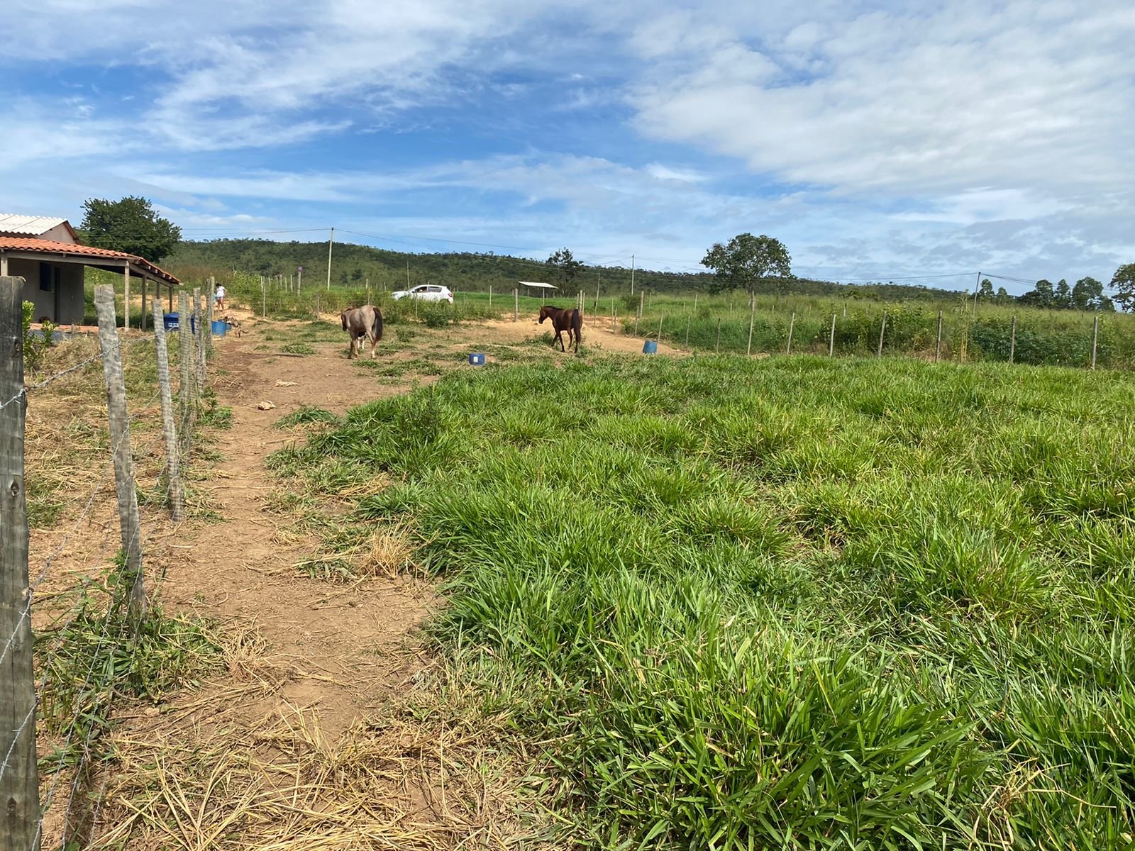 Vende -se chácara só Terra