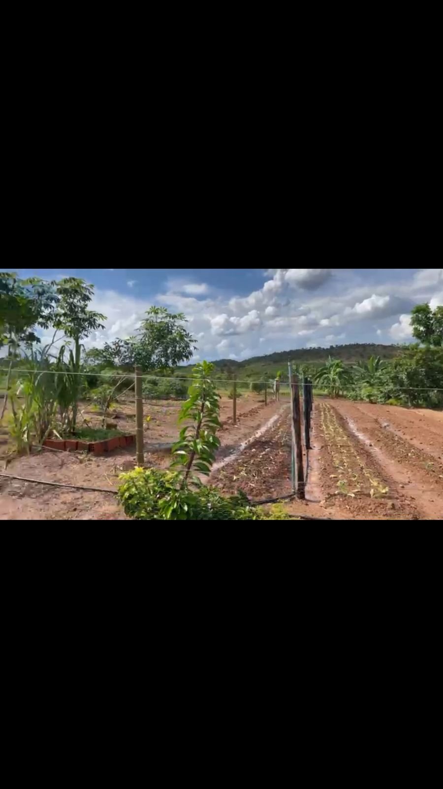 Sitio a Venda a 12 km de Unaí e 8 km do bairro Riviera Park