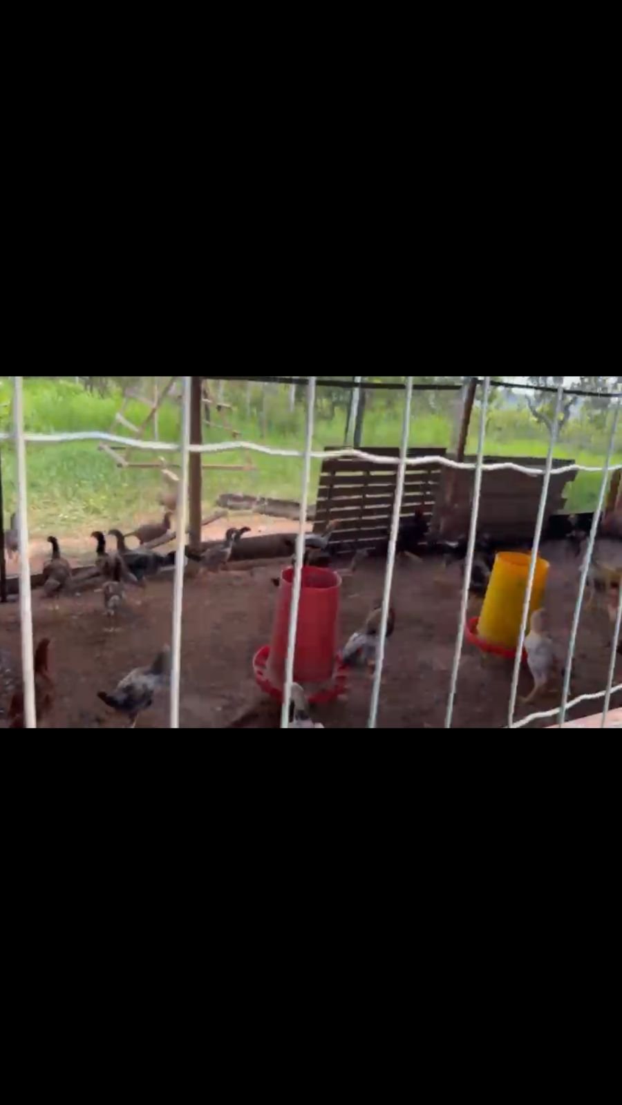 Sitio a Venda a 12 km de Unaí e 8 km do bairro Riviera Park