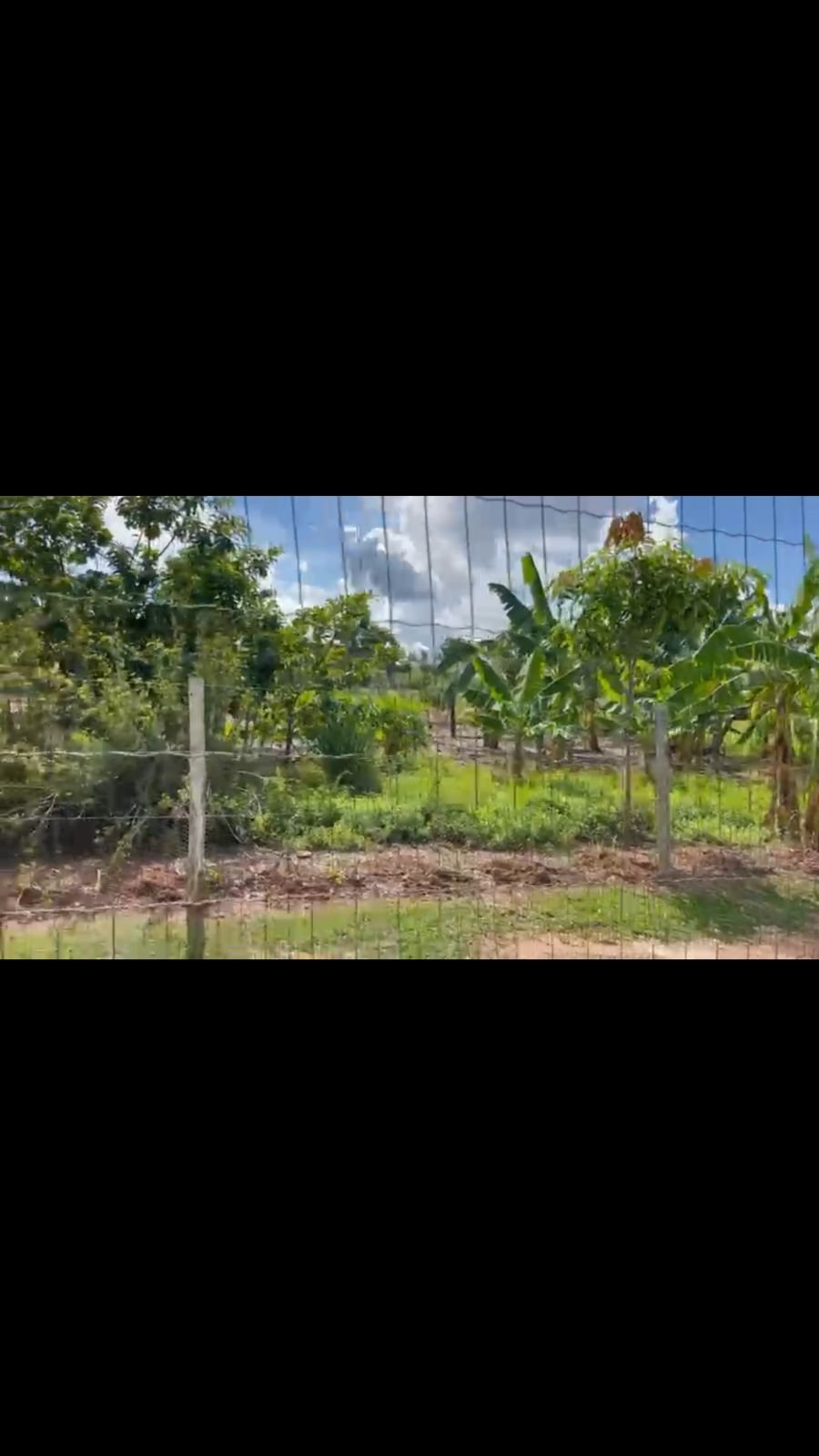 Sitio a Venda a 12 km de Unaí e 8 km do bairro Riviera Park