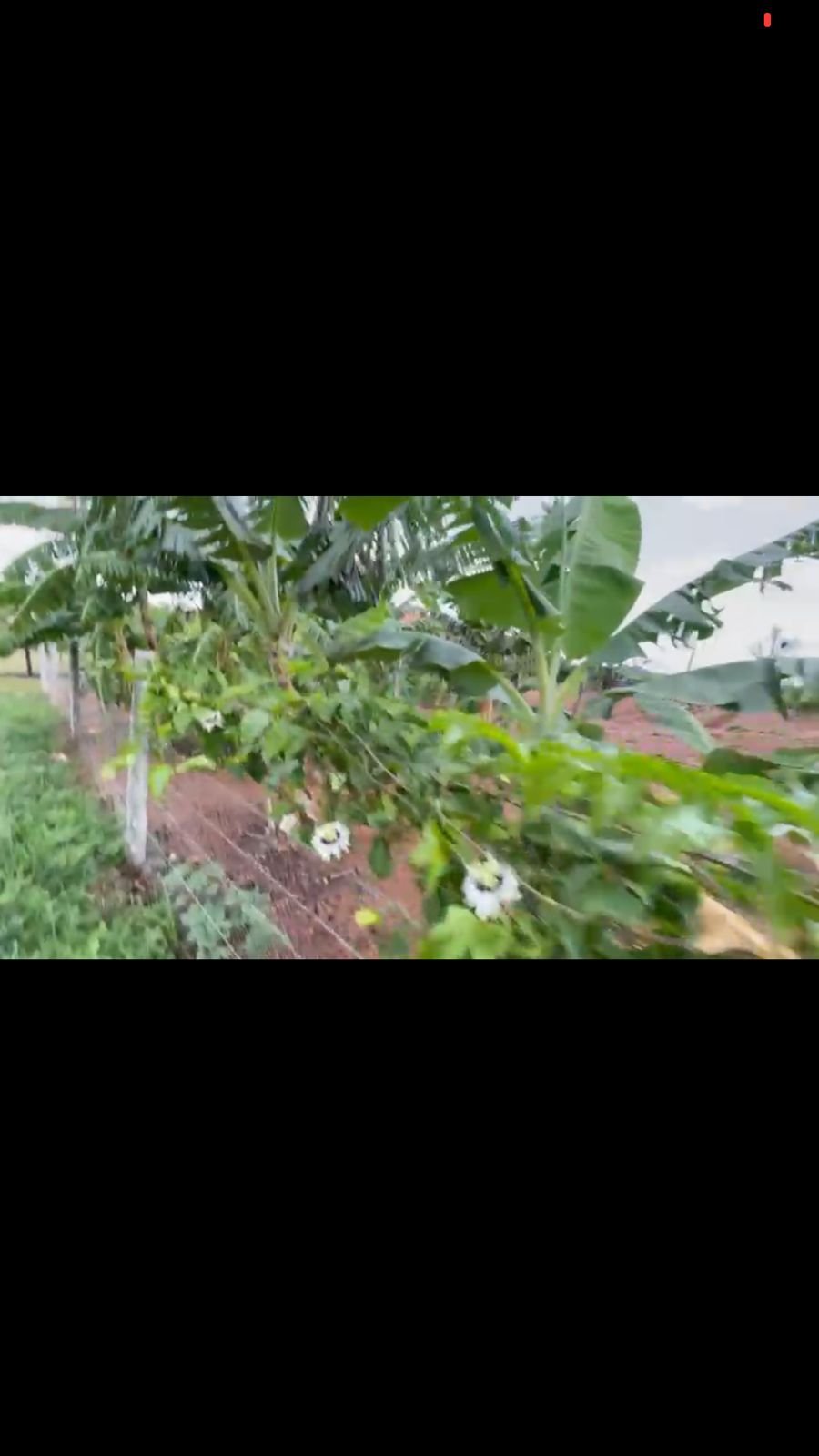 Sitio a Venda a 12 km de Unaí e 8 km do bairro Riviera Park