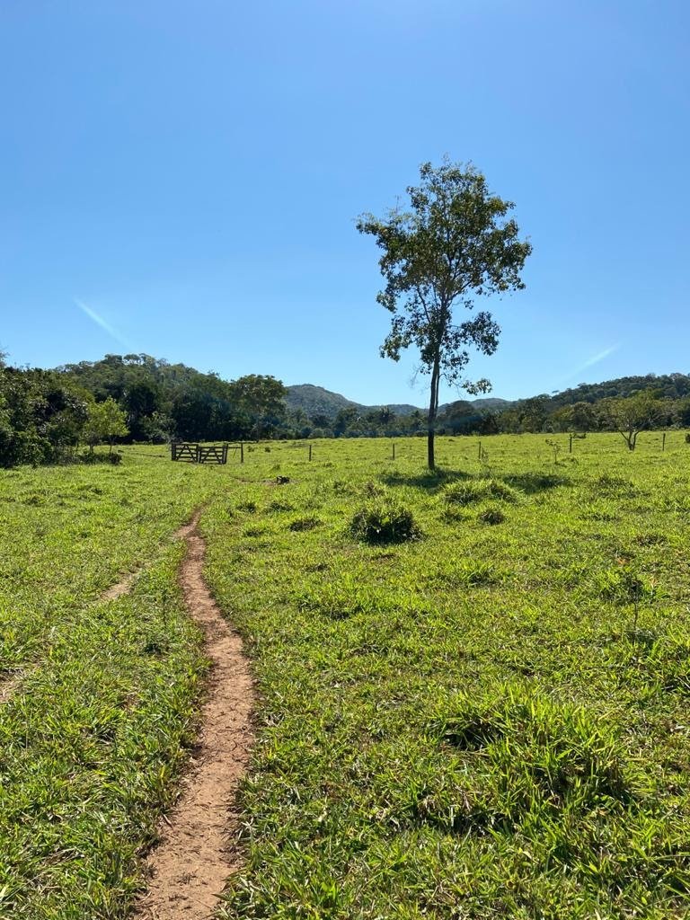 FAZENDA A VENDA