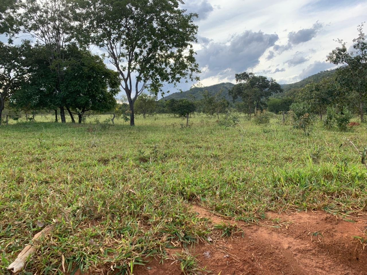 FAZENDA A VENDA