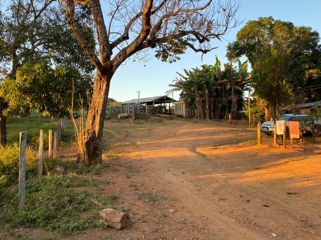 FAZENDA A VENDA