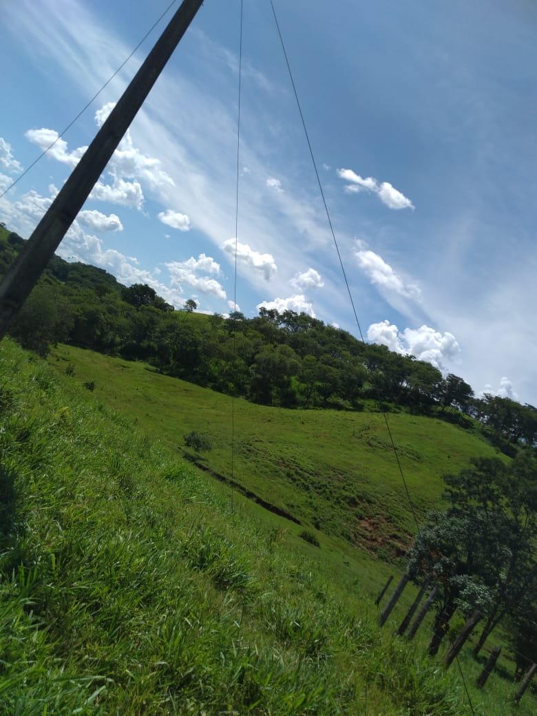 fazenda a venda