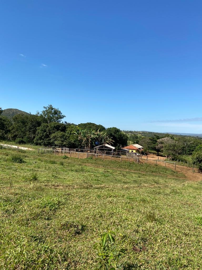 FAZENDA A VENDA