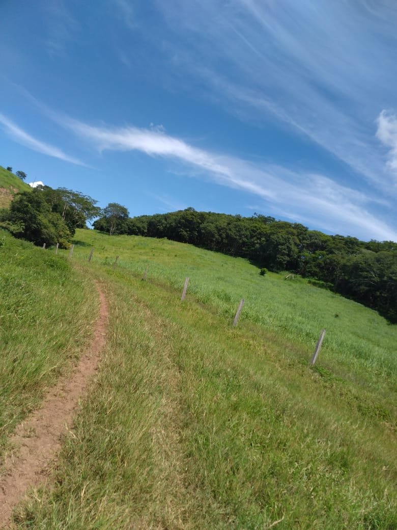 fazenda a venda