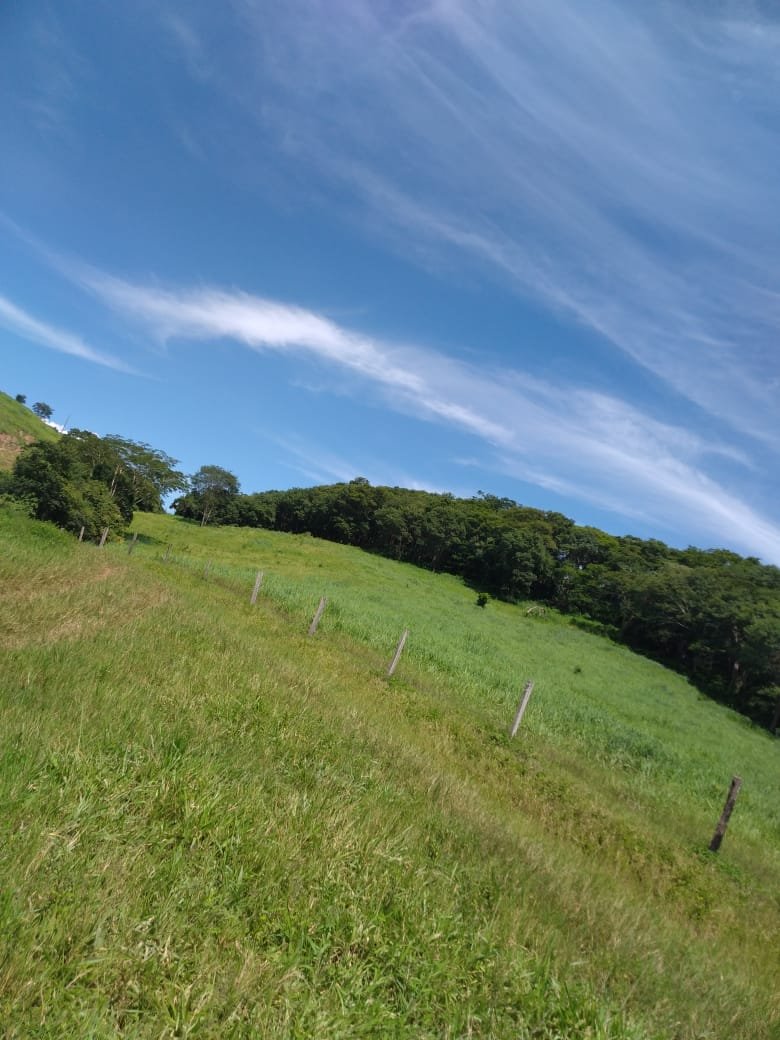 fazenda a venda