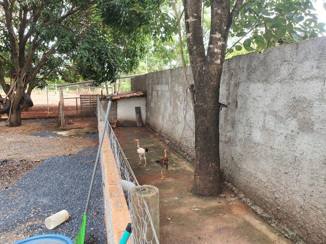 Belissima Chácara a Venda