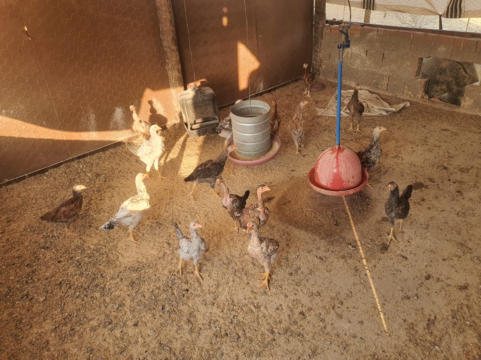 Chácara a venda  (Fazenda Vargem Bonita) Unaí-MG