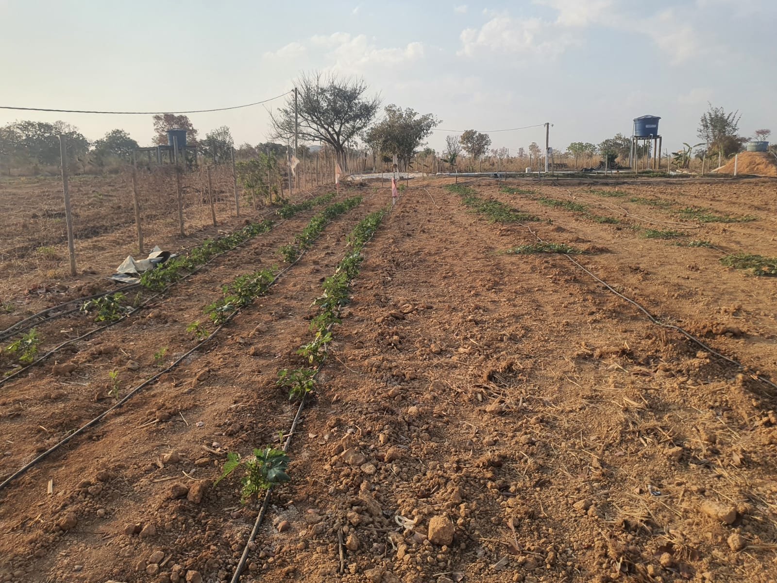 Chácara a venda  (Fazenda Vargem Bonita) Unaí-MG