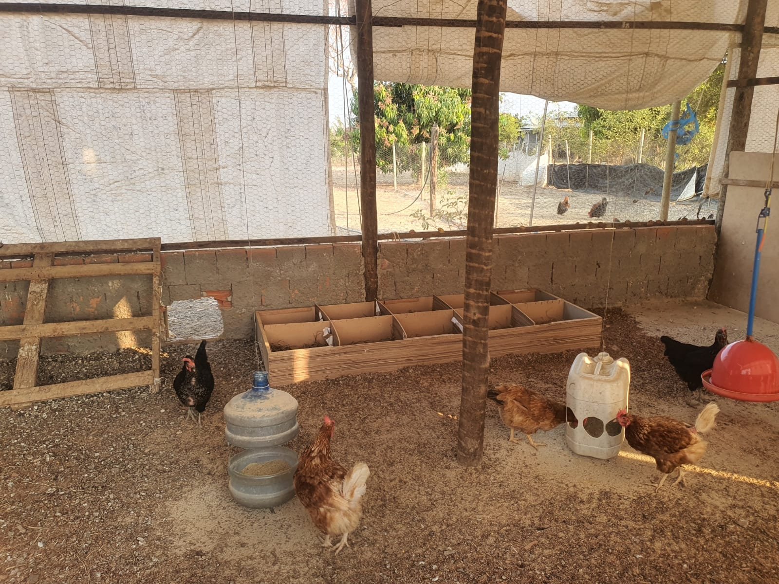 Chácara a venda  (Fazenda Vargem Bonita) Unaí-MG