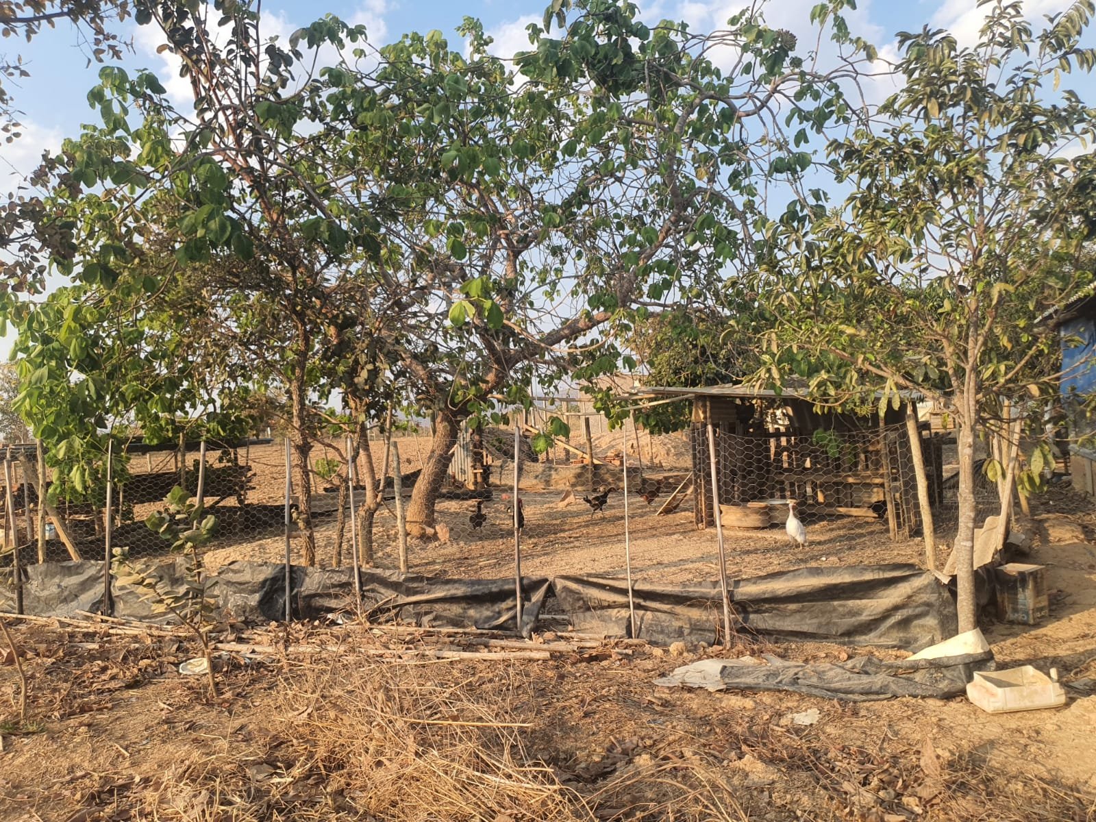 Chácara a venda  (Fazenda Vargem Bonita) Unaí-MG