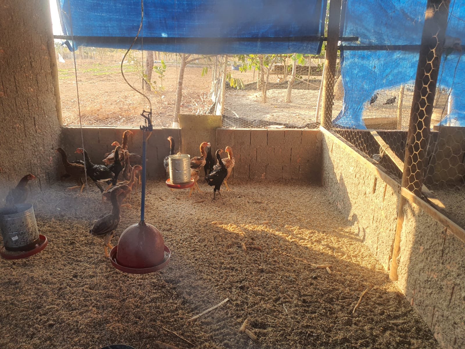 Chácara a venda  (Fazenda Vargem Bonita) Unaí-MG