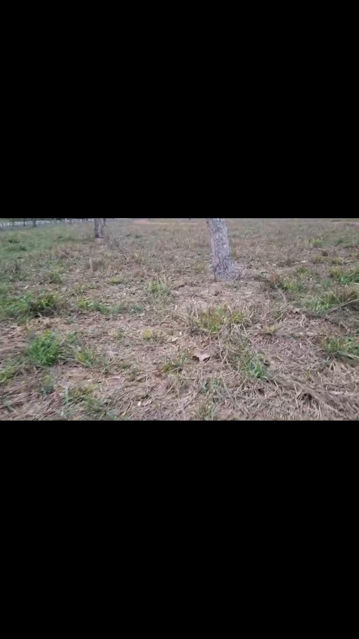 Fazenda a venda de porteira fechada