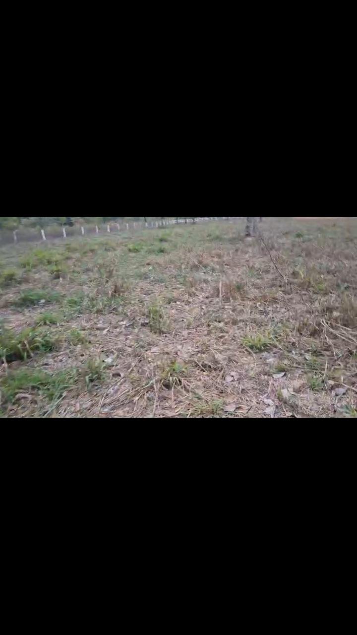 Fazenda a venda de porteira fechada