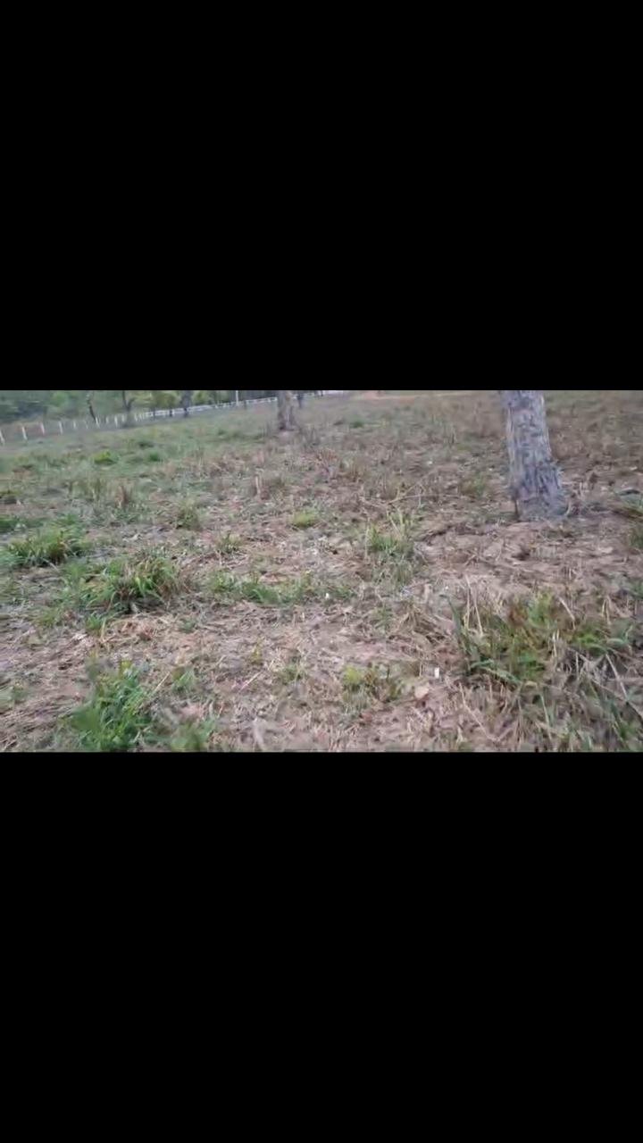 Fazenda a venda de porteira fechada