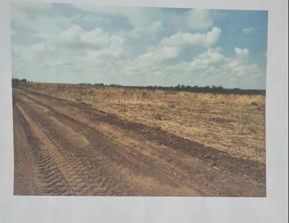 Fazenda a venda na região de Buritis