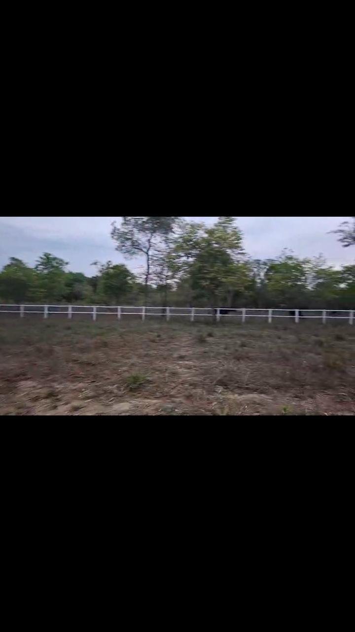 Fazenda a venda de porteira fechada
