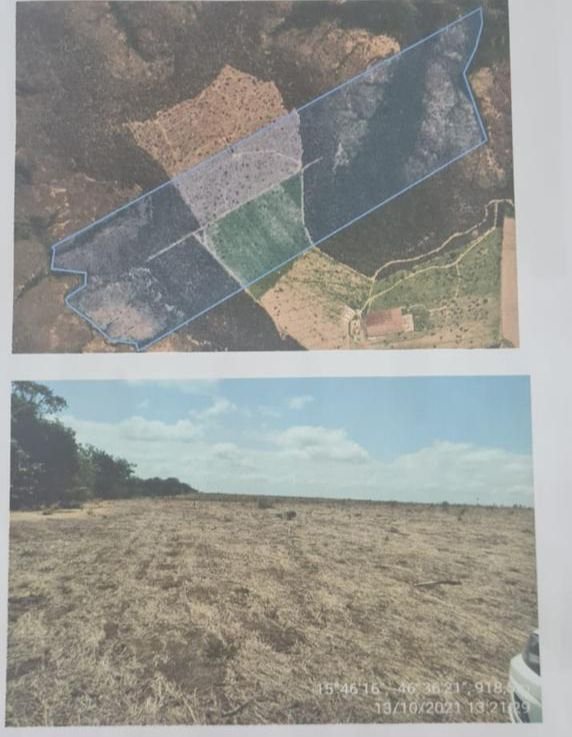 Fazenda a venda na região de Buritis