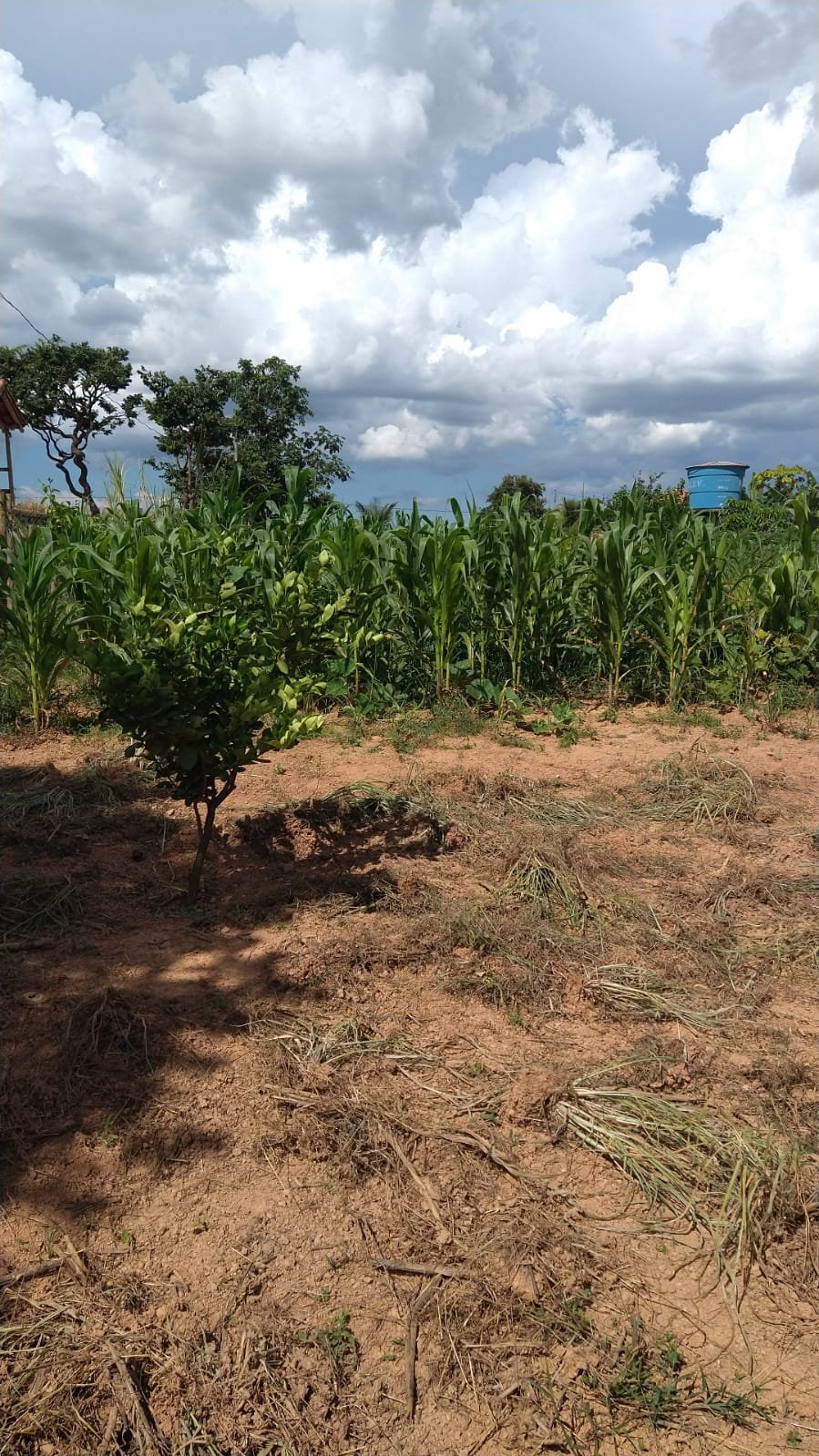 Chacara a venda em Unai