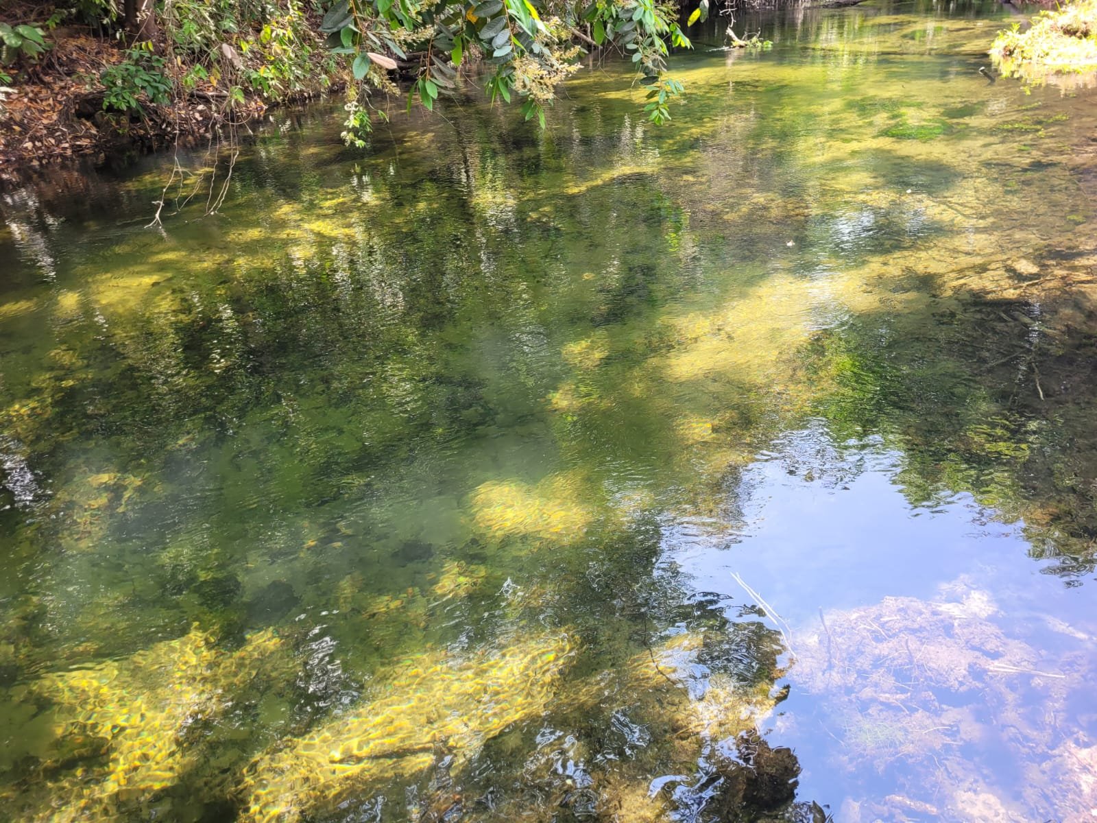Chácara a venda emChapada Gaucha.